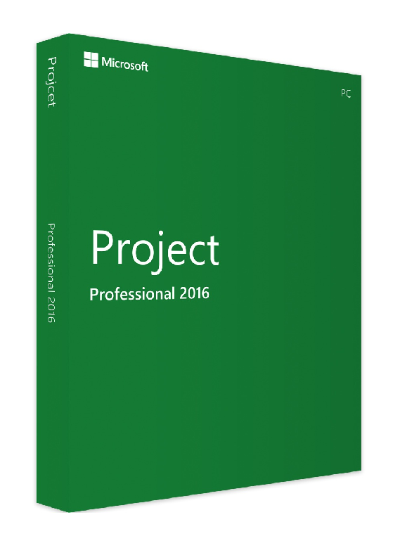 Microsoft Project Professional 2016 (PC)