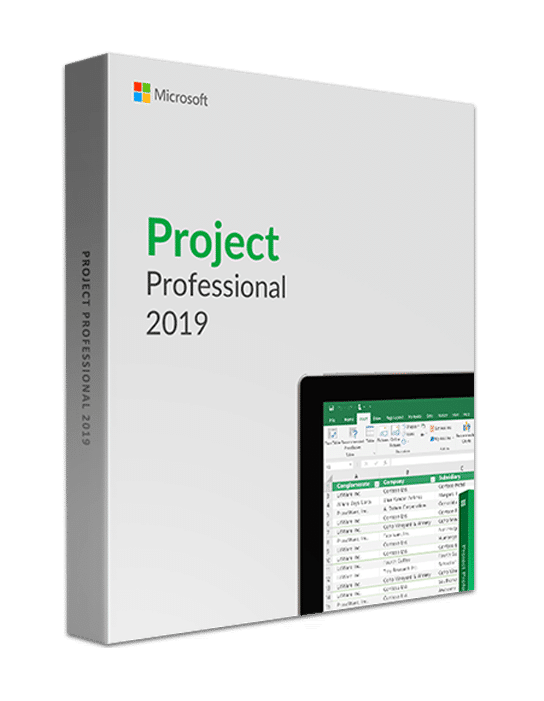 Microsoft Project Professional 2019 (PC)