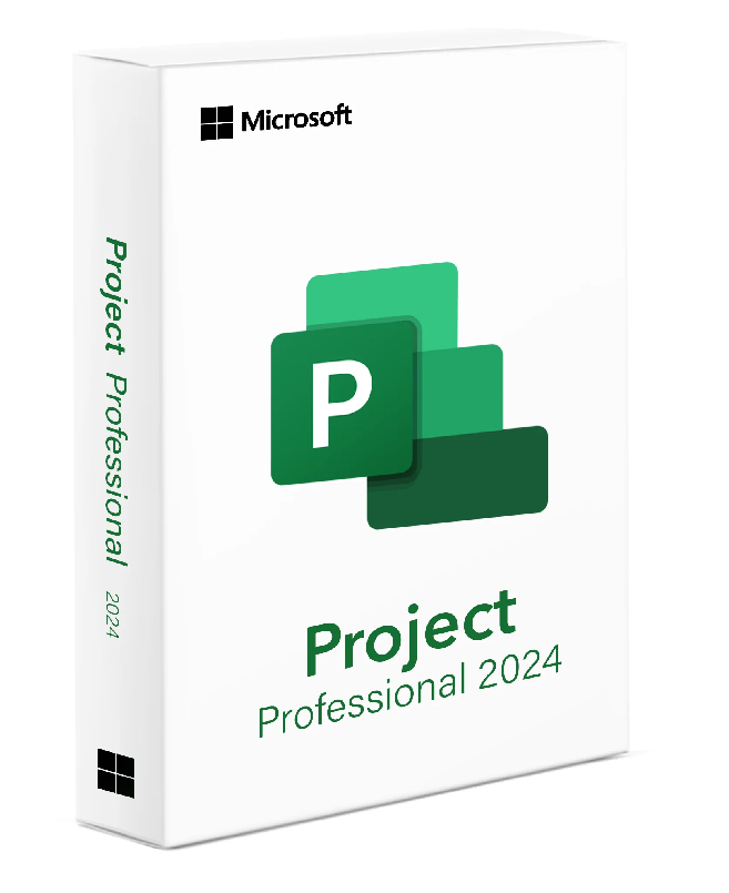 Microsoft Project Professional 2024 (PC)